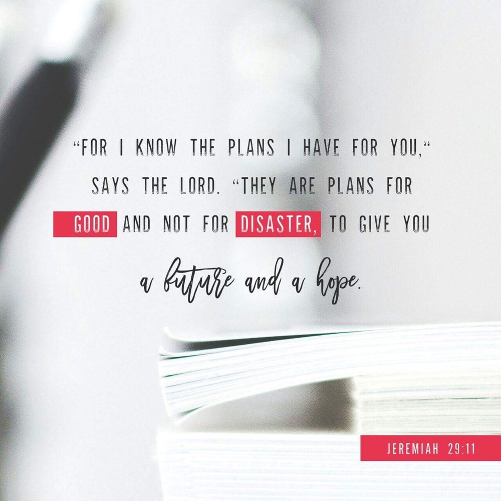 Meet your Posher, Isabella - Picture 5 of 8